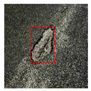 Remotesensing 14 03892 i009