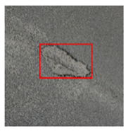 Remotesensing 14 03892 i012