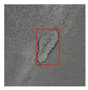 Remotesensing 14 03892 i013