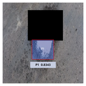 Remotesensing 14 03892 i017