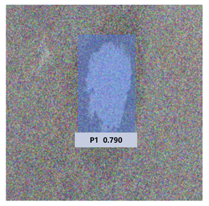 Remotesensing 14 03892 i019