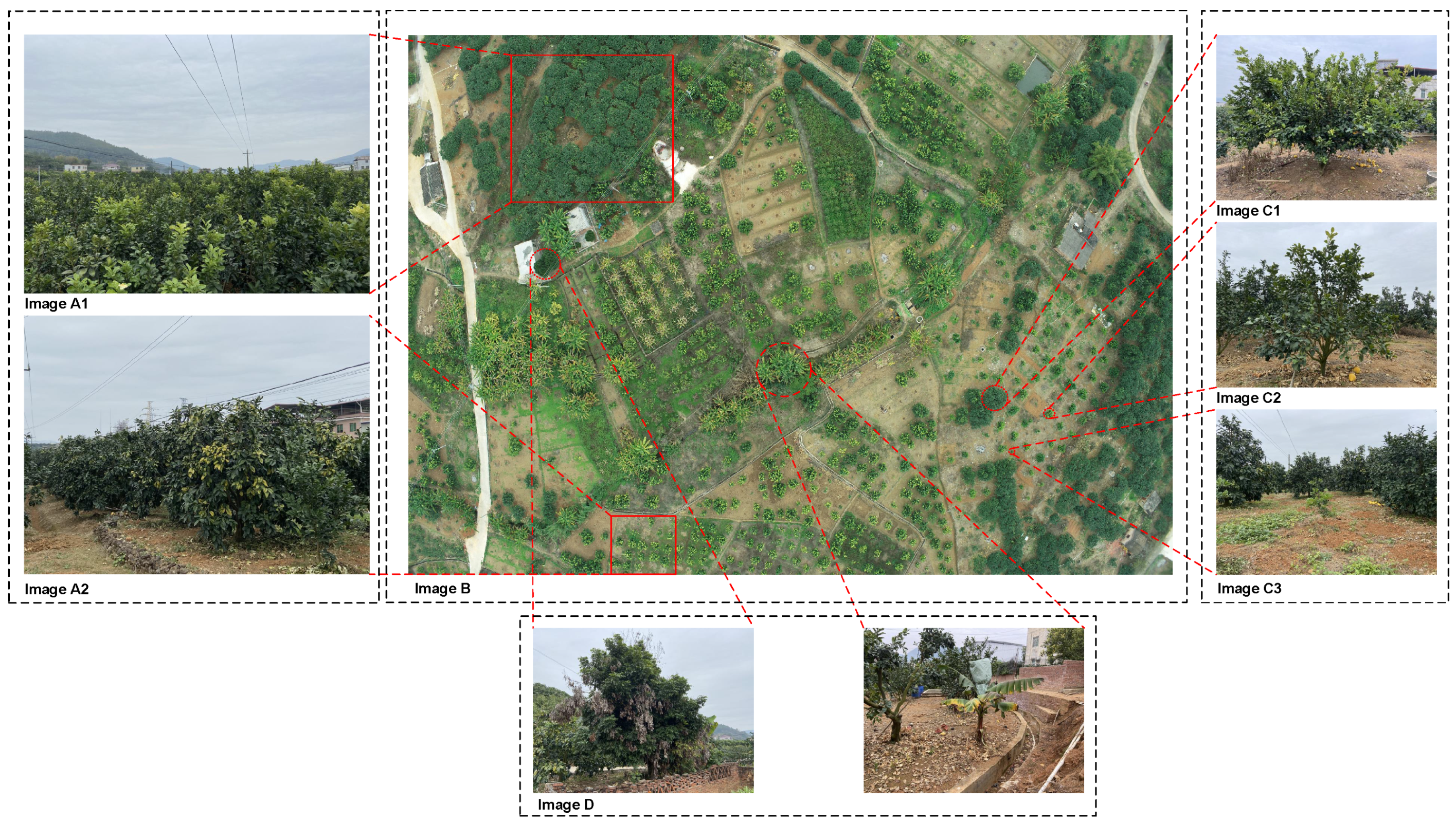 Remotesensing 14 03902 g001