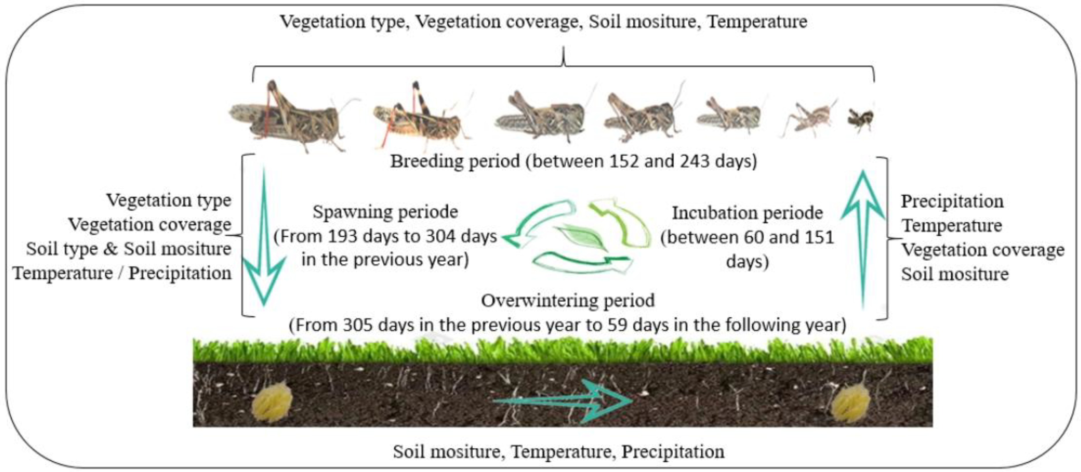 Remotesensing 14 03910 g002