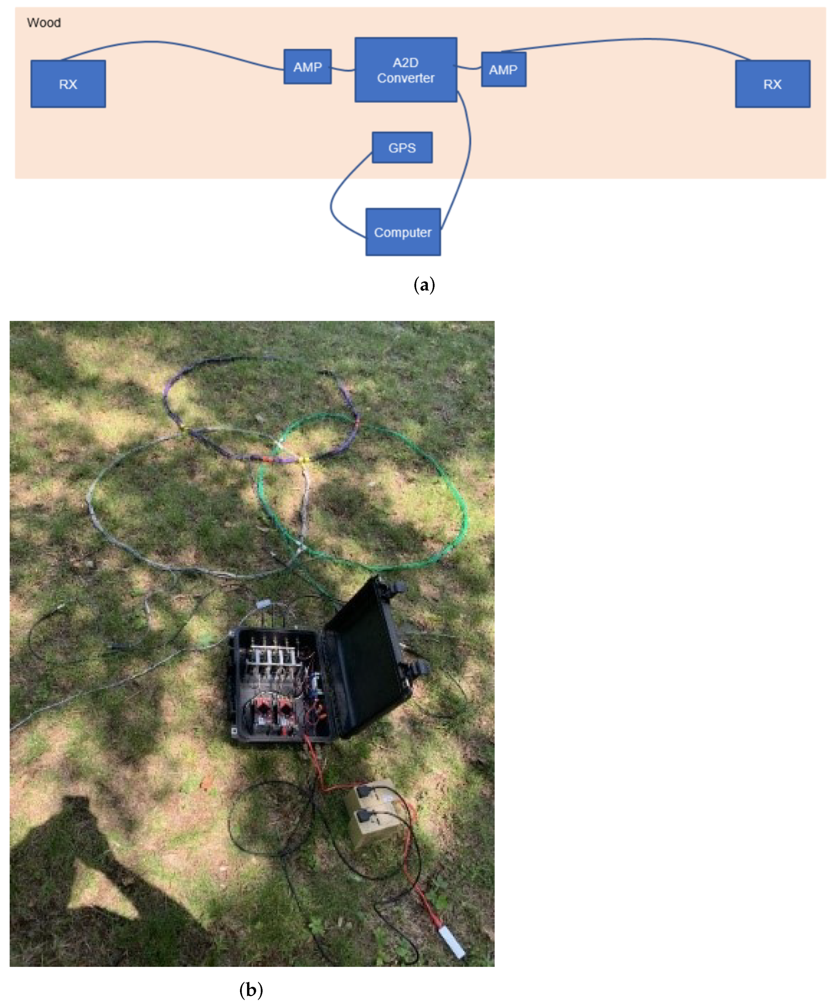 Remotesensing 14 03973 g012