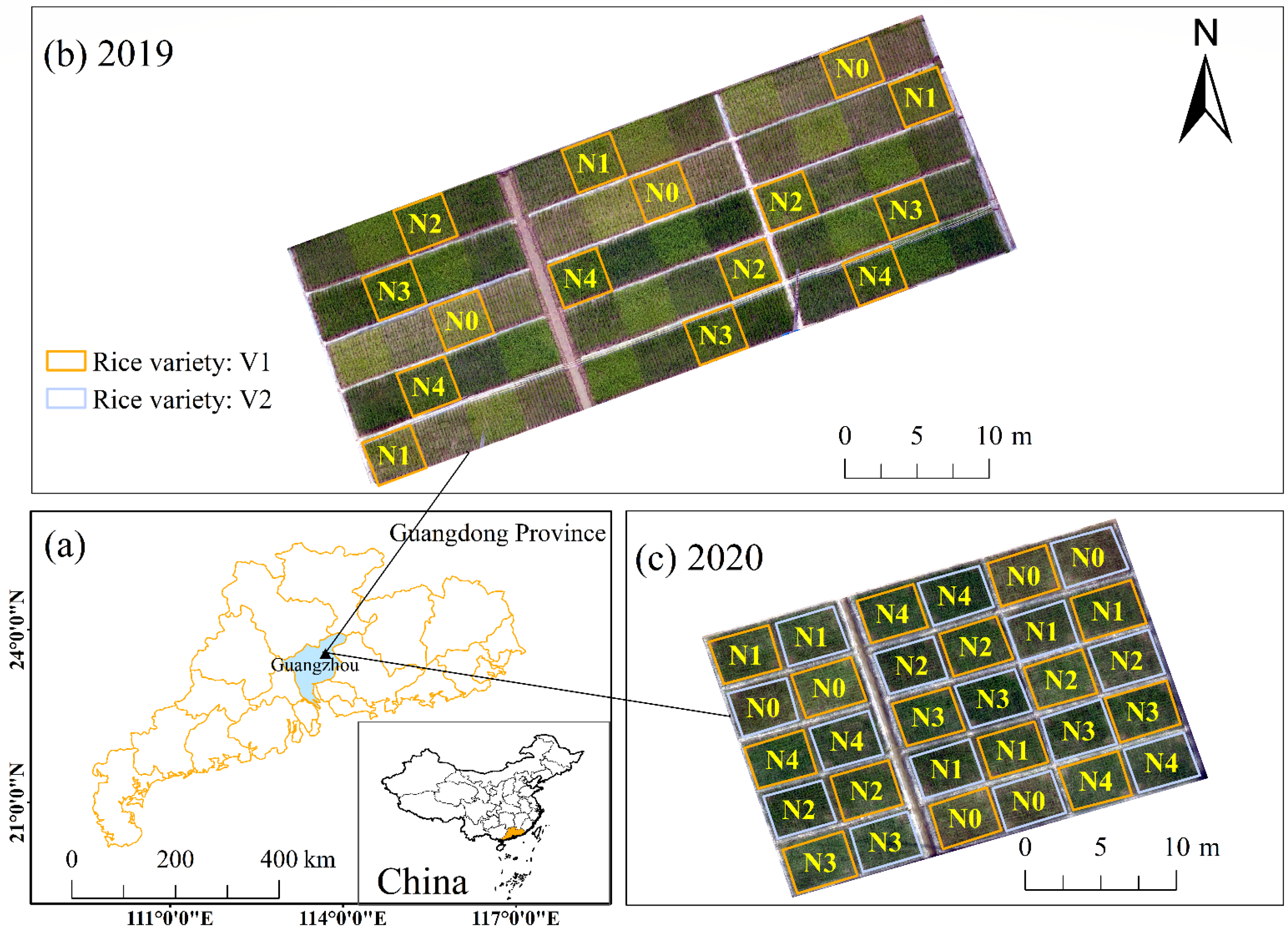 Remotesensing 14 03989 g001