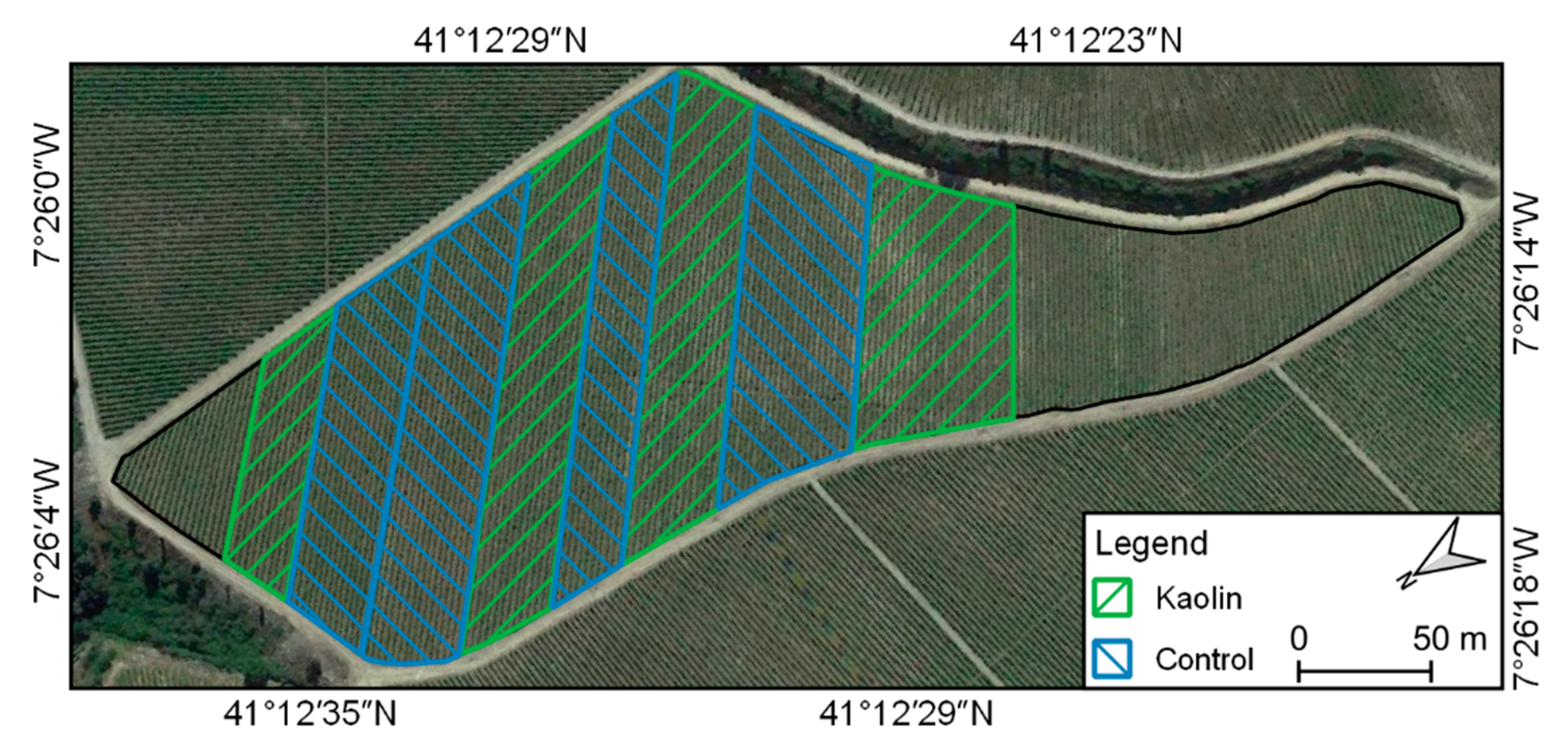 Remotesensing 14 04019 g001