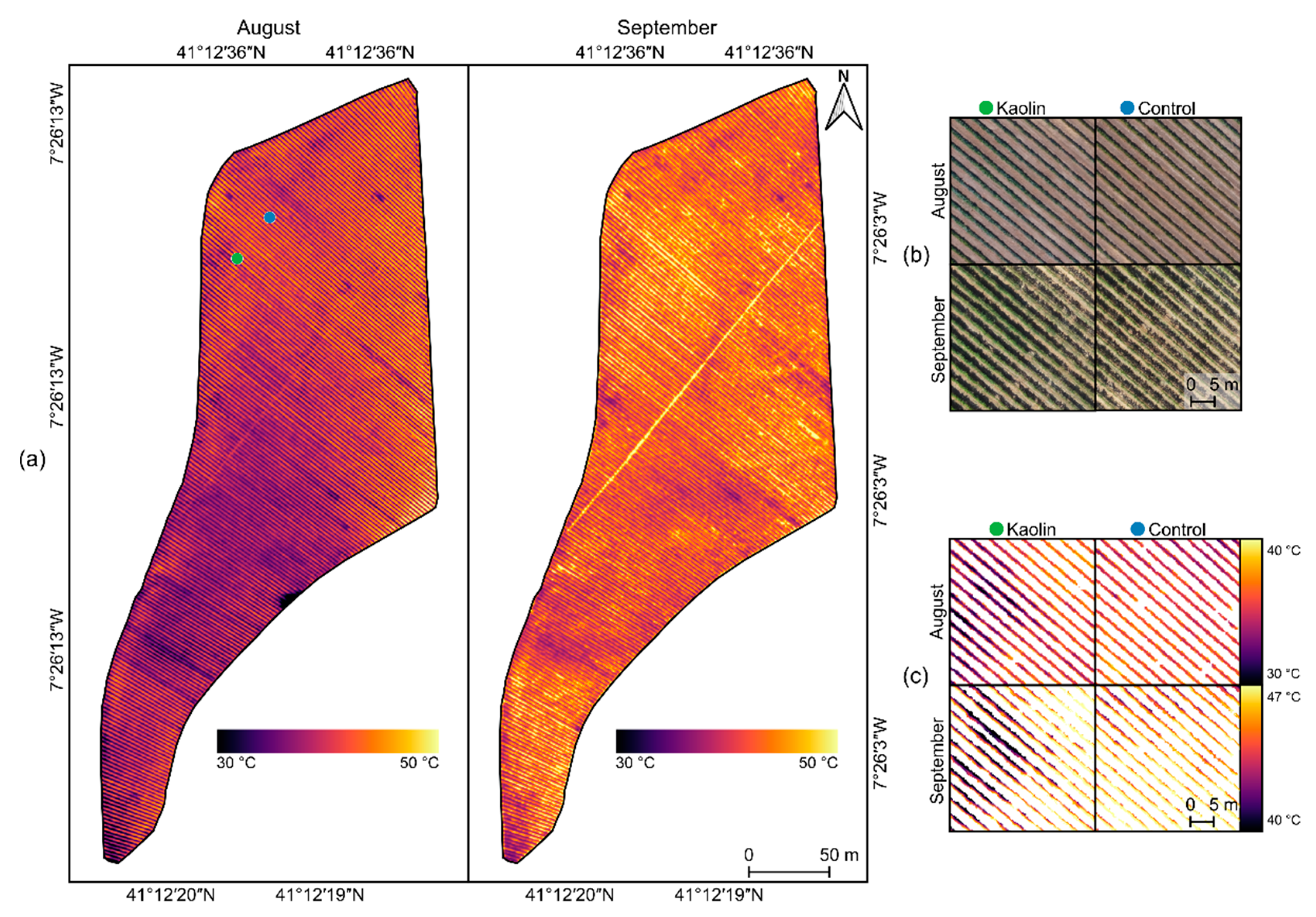 Remotesensing 14 04019 g004
