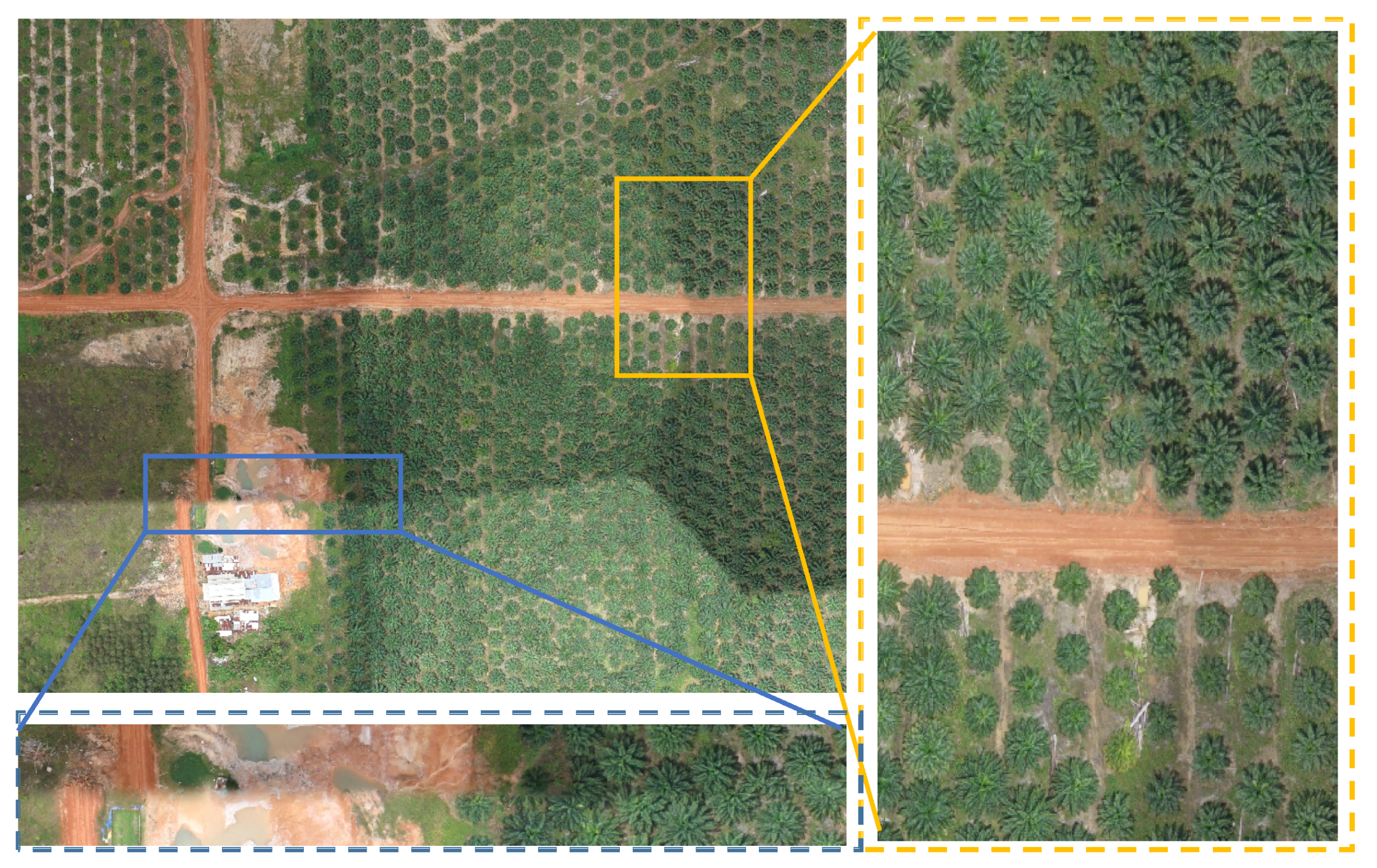 Remotesensing 14 04113 g007