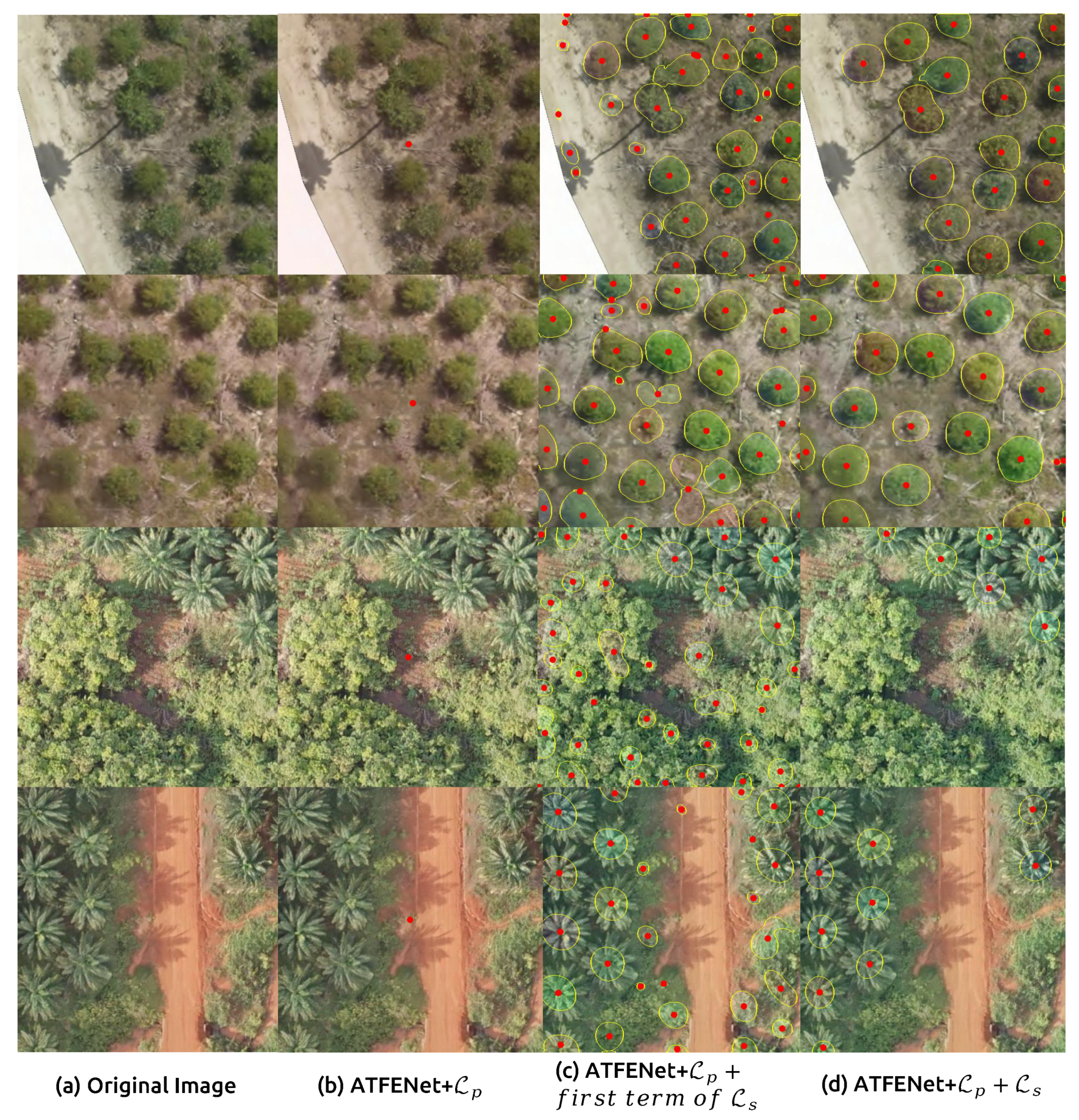 Remotesensing 14 04113 g010