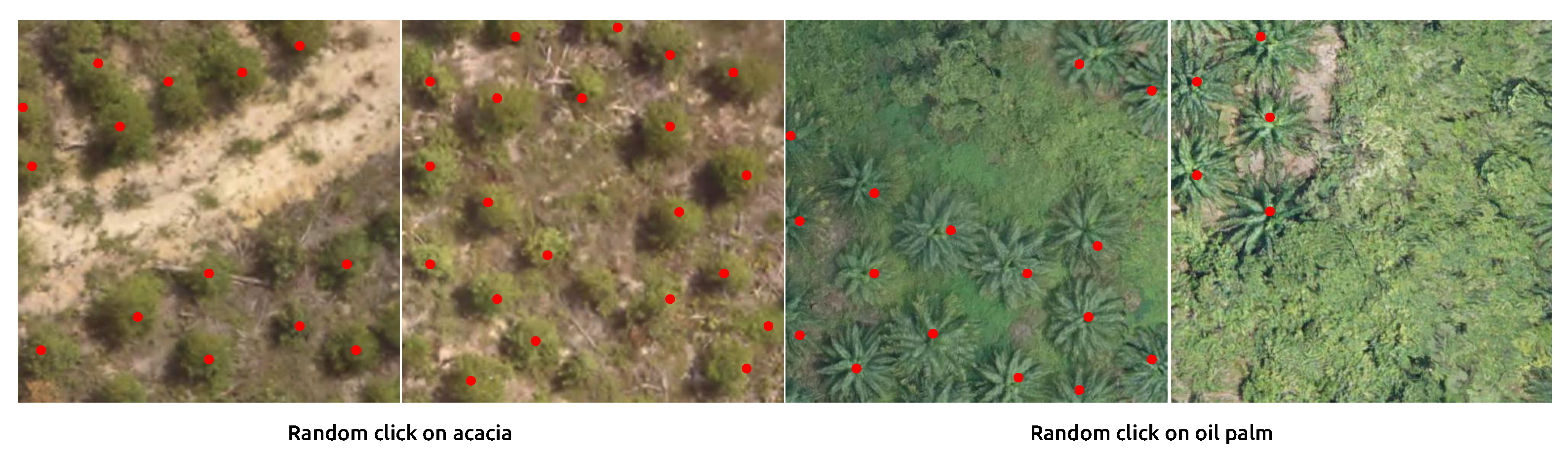 Remotesensing 14 04113 g011