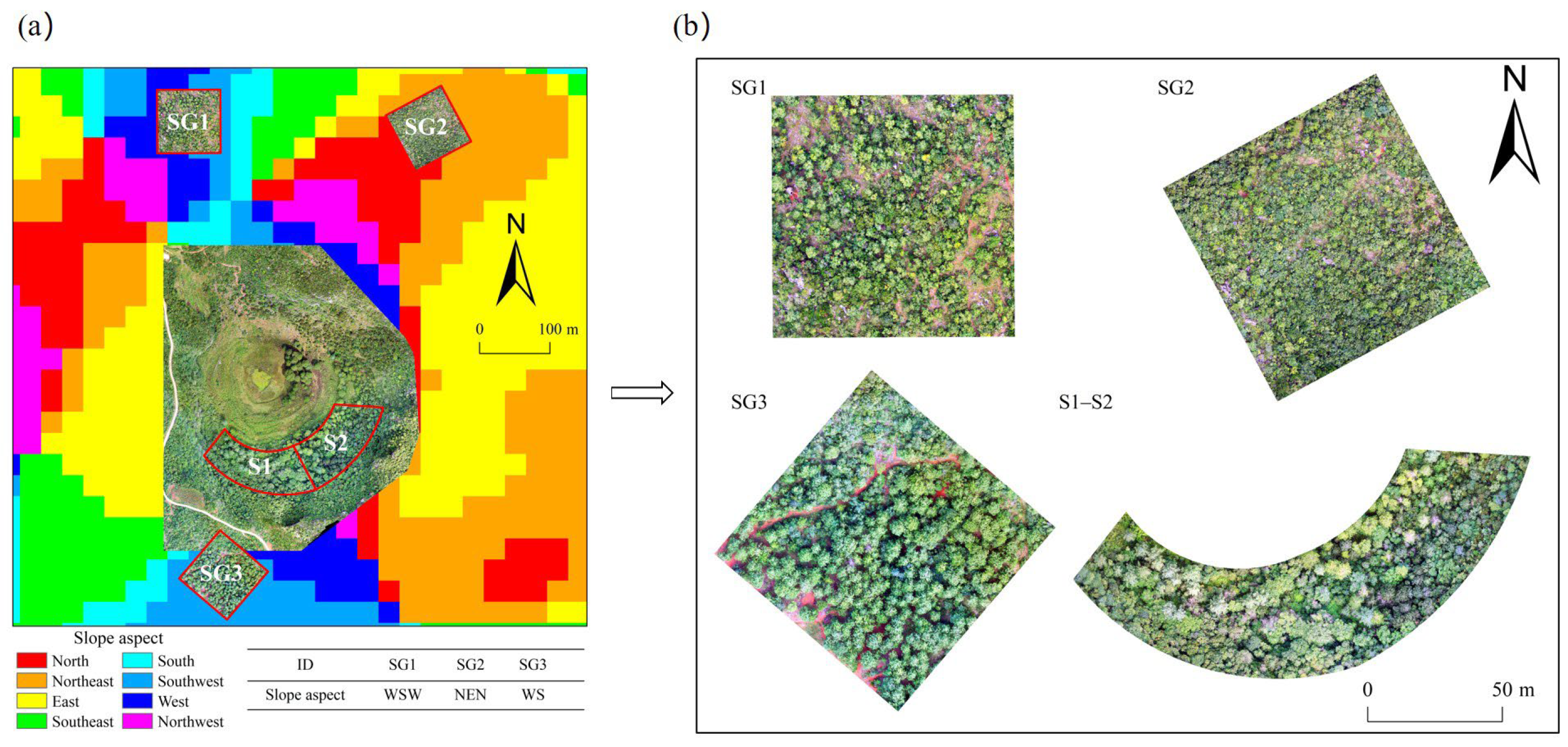 Remotesensing 14 04128 g002