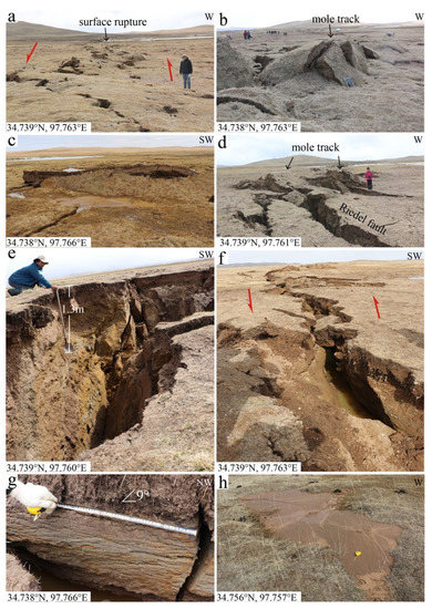 Remotesensing 14 04154 g004 550