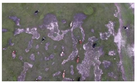 Remotesensing 14 04188 i001