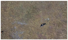 Remotesensing 14 04188 i002