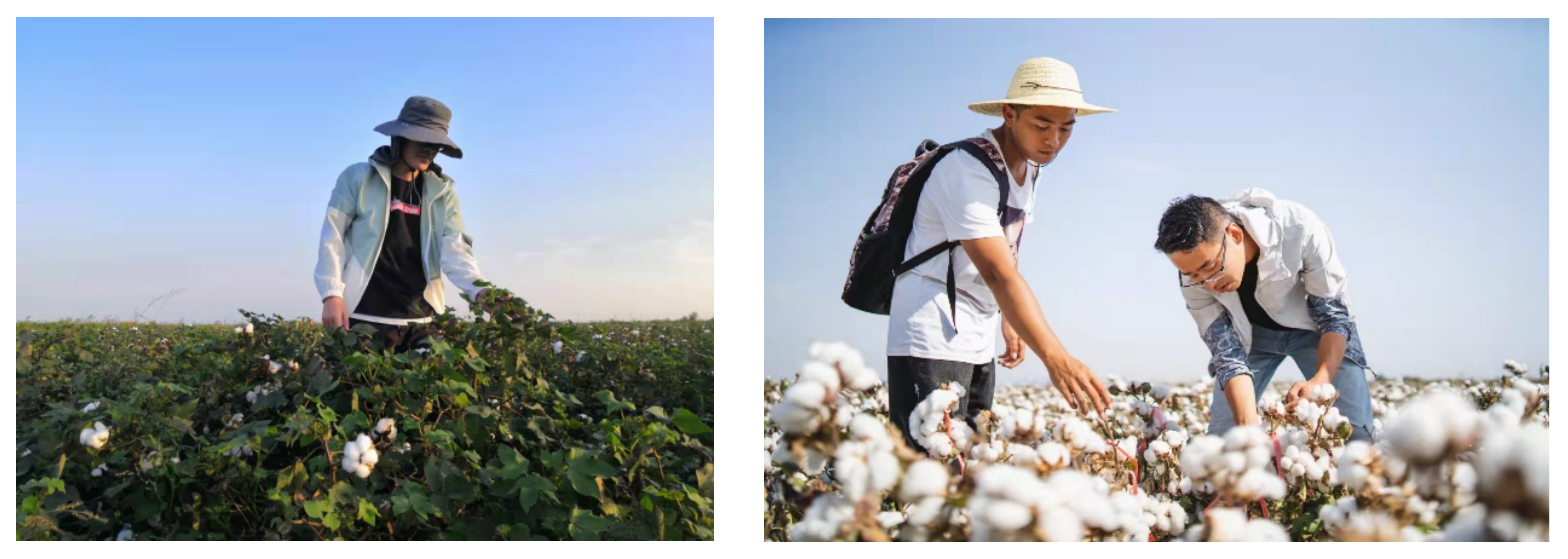 Remotesensing 14 04206 g002