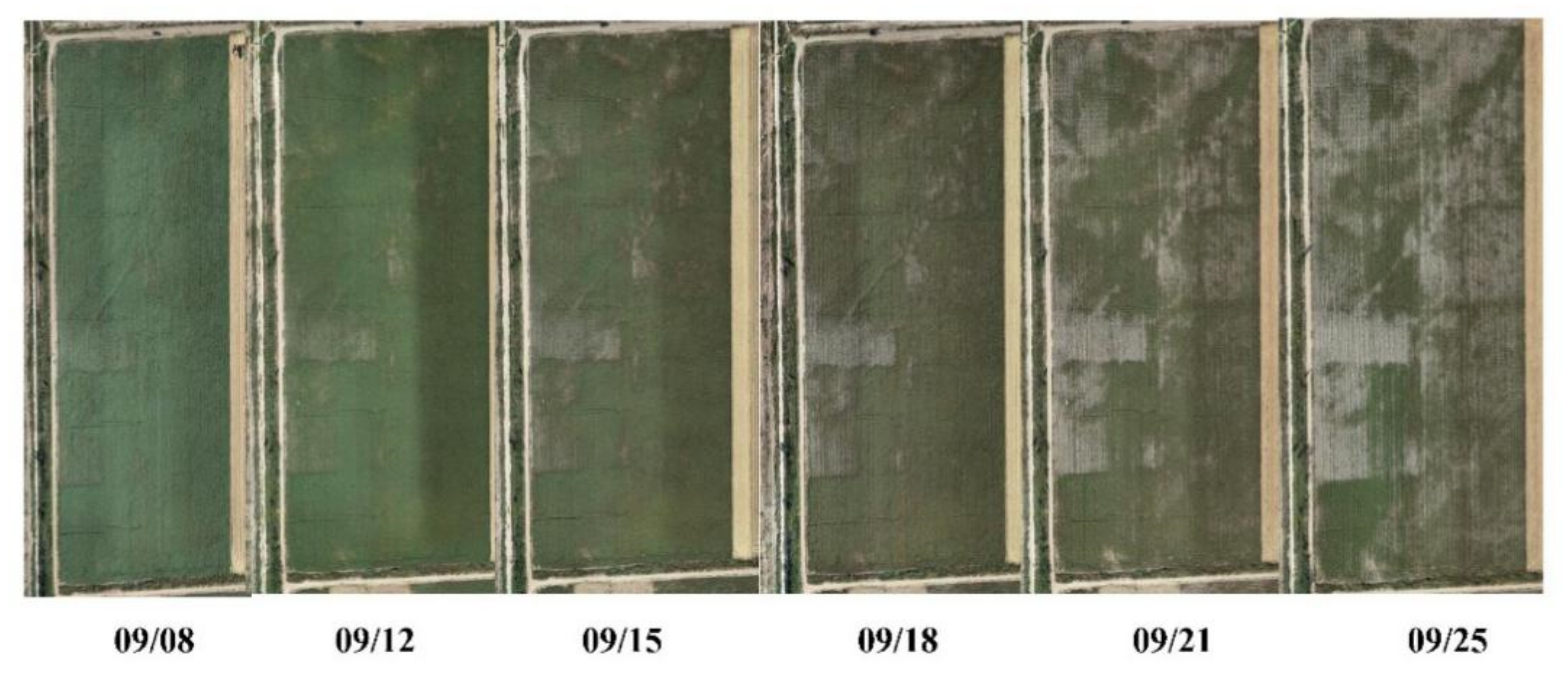 Remotesensing 14 04206 g003