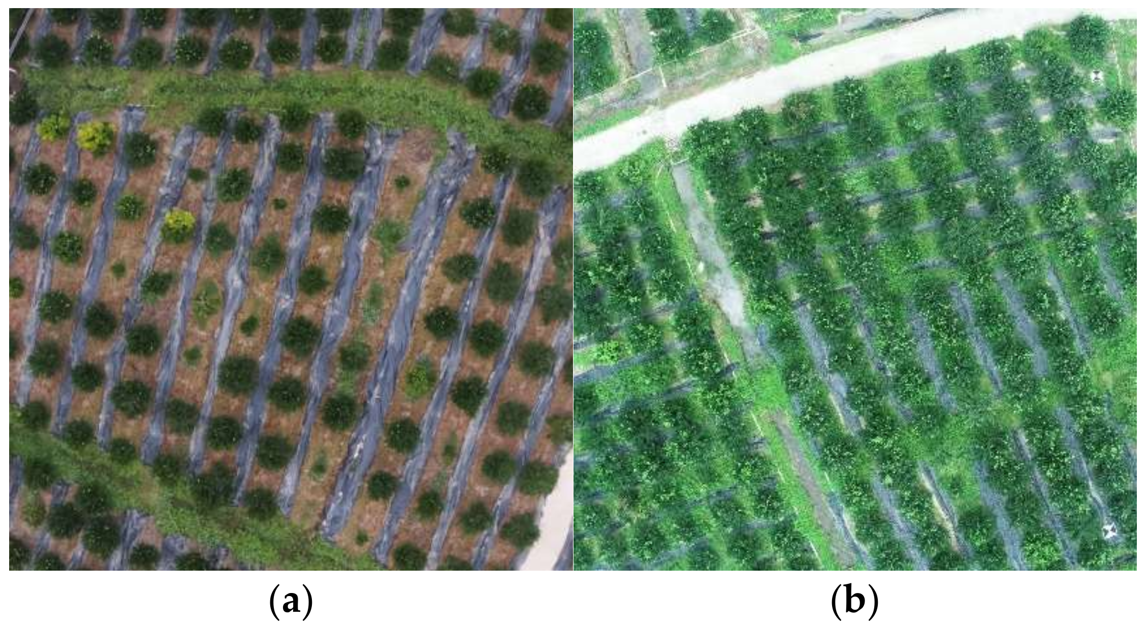 Remotesensing 14 04208 g003 Remotesensing 14 04208 g003