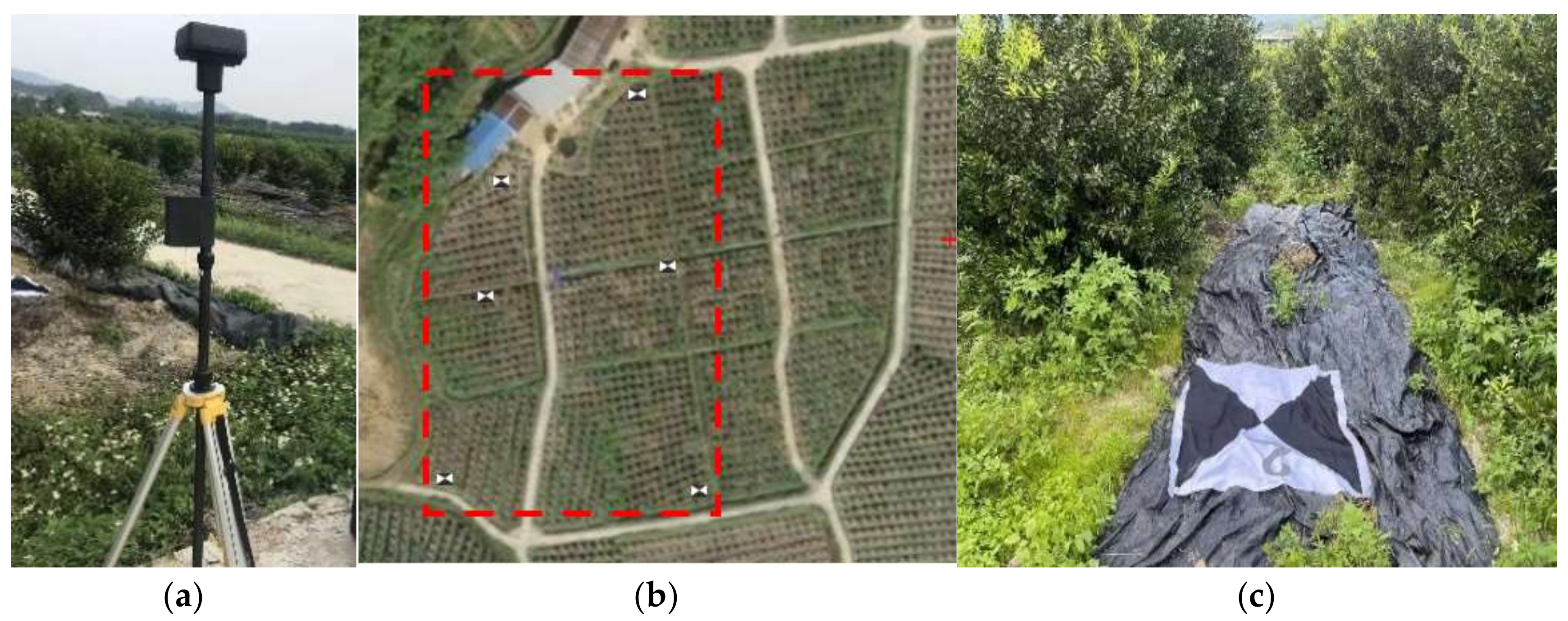 Remotesensing 14 04208 g004 Remotesensing 14 04208 g004