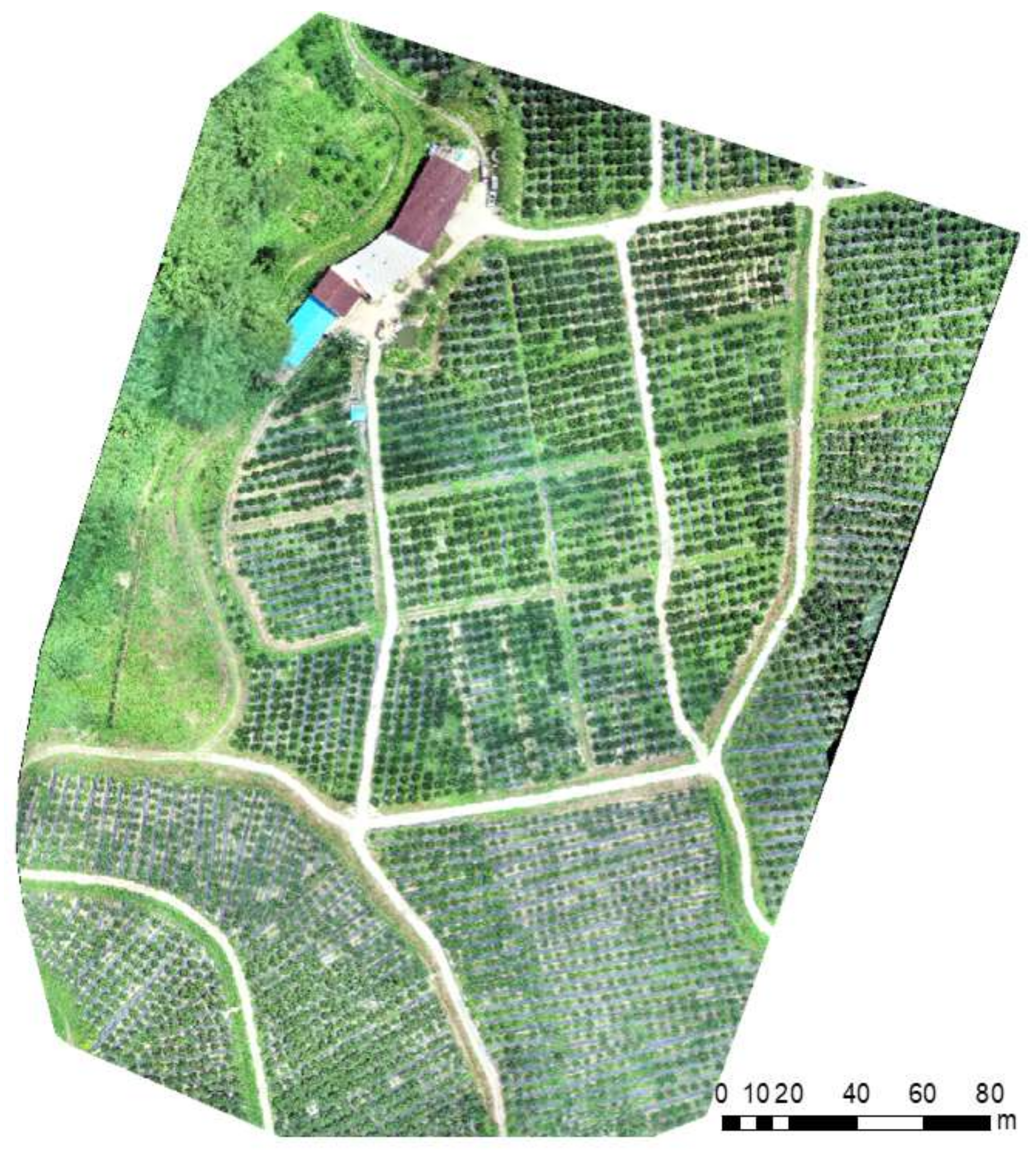 Remotesensing 14 04208 g005 Remotesensing 14 04208 g005