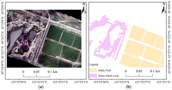 Remotesensing 14 04246 g0a1 550