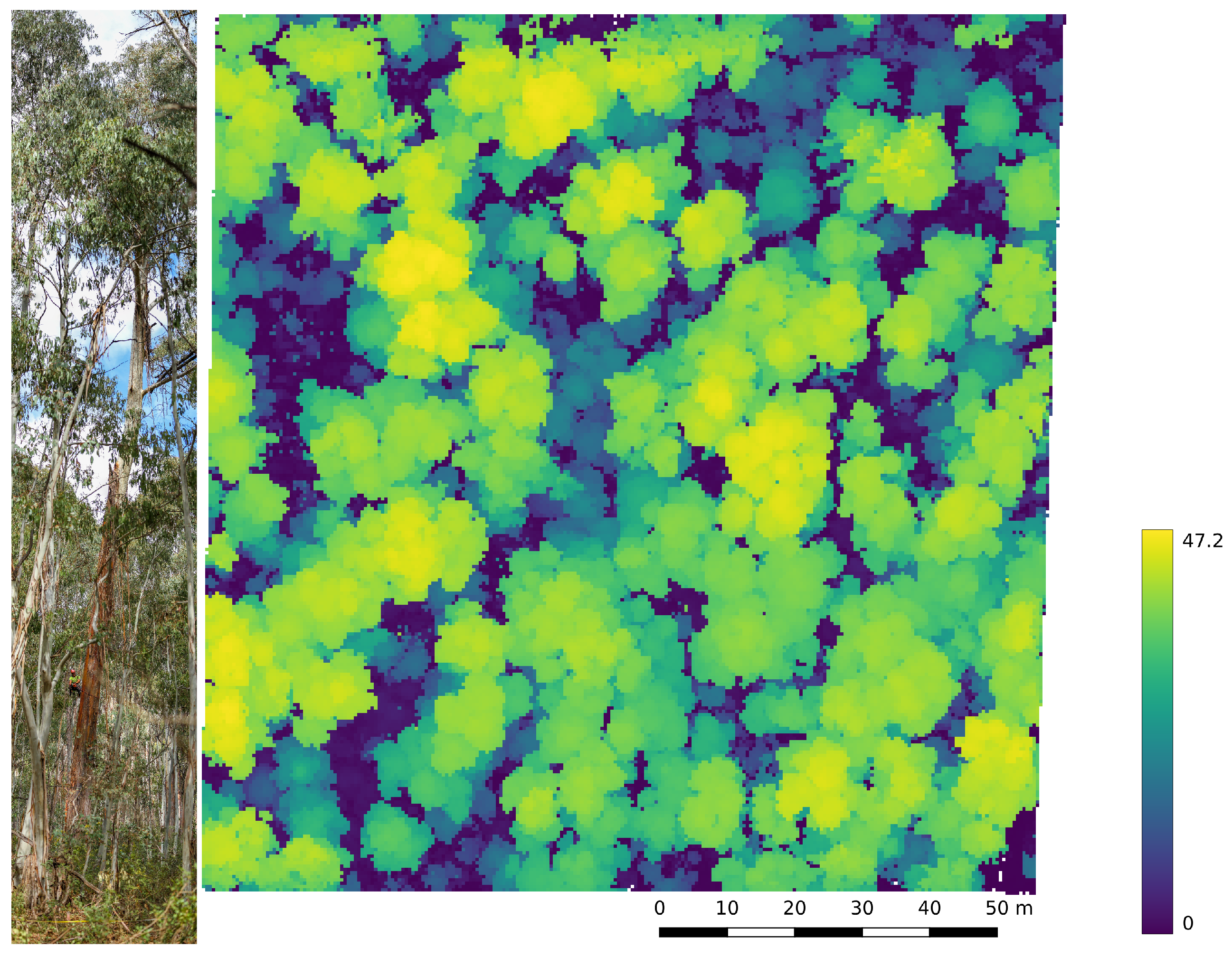 Remotesensing 14 04287 g001 Remotesensing 14 04287 g001