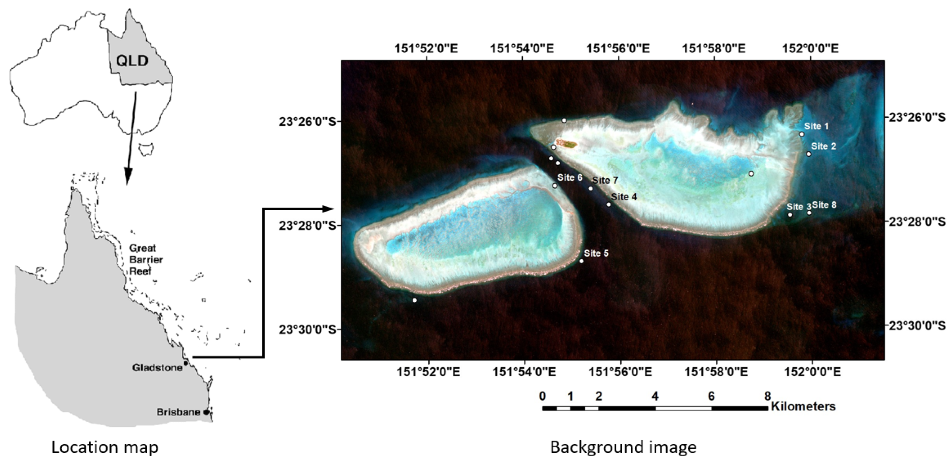 Remotesensing 14 04297 g002