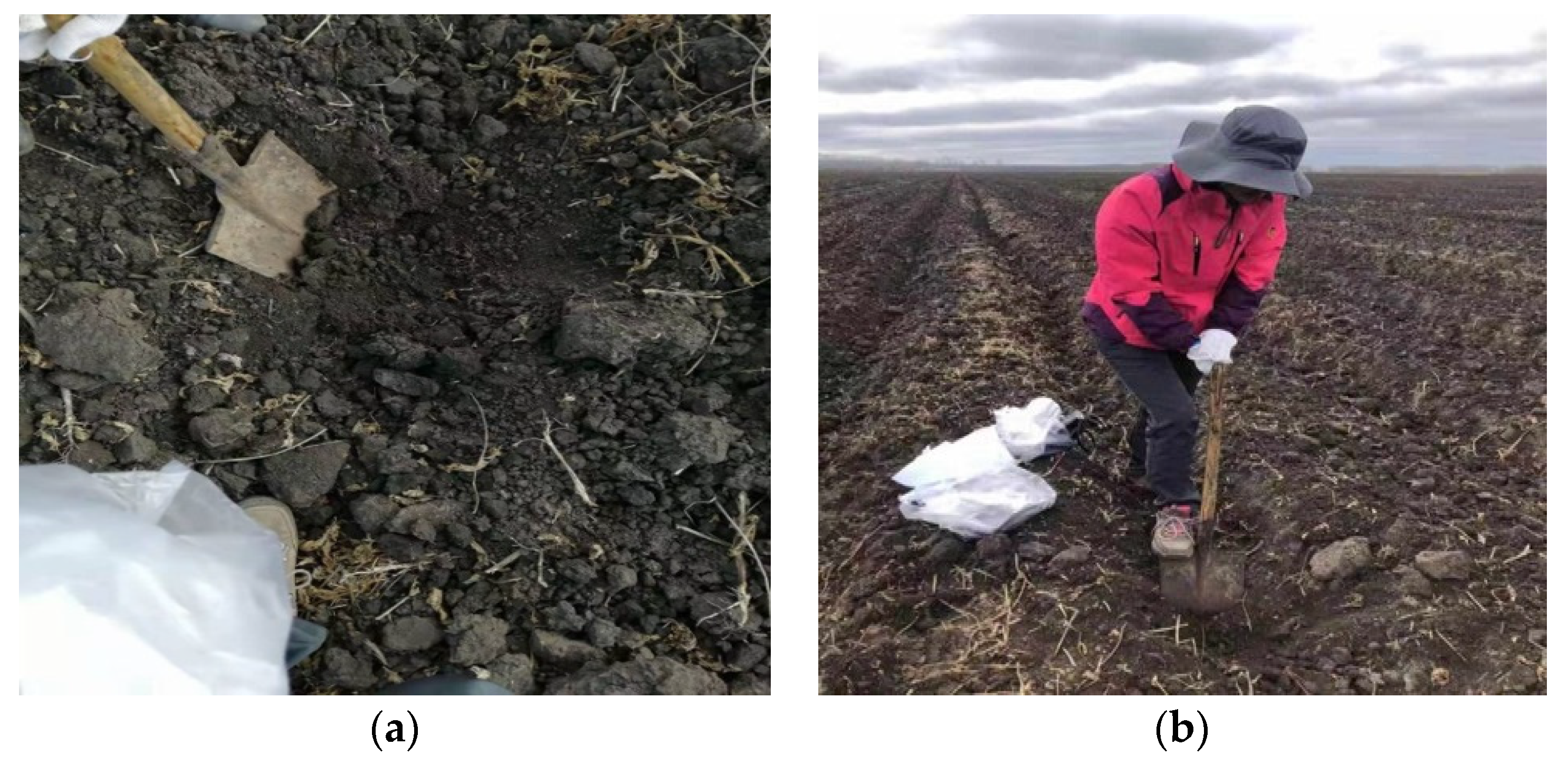 Hyperspectral Remote Sensing Inversion and Monitoring of Organic Matter ...