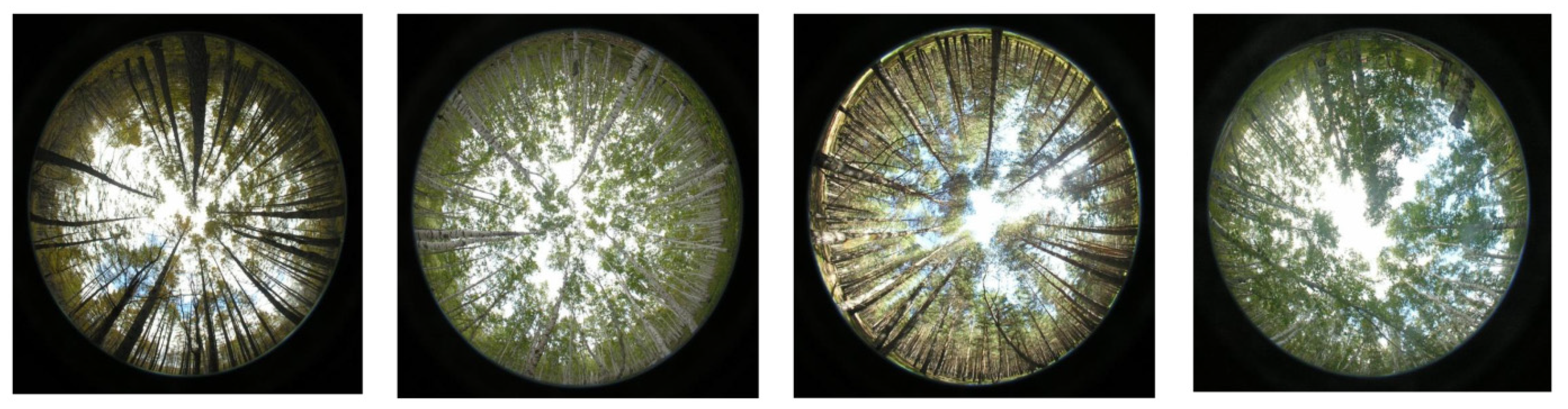 Remotesensing 14 04317 g005