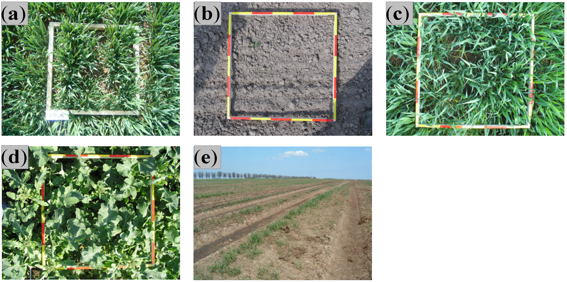 Remotesensing 14 04326 g007 Remotesensing 14 04326 g007
