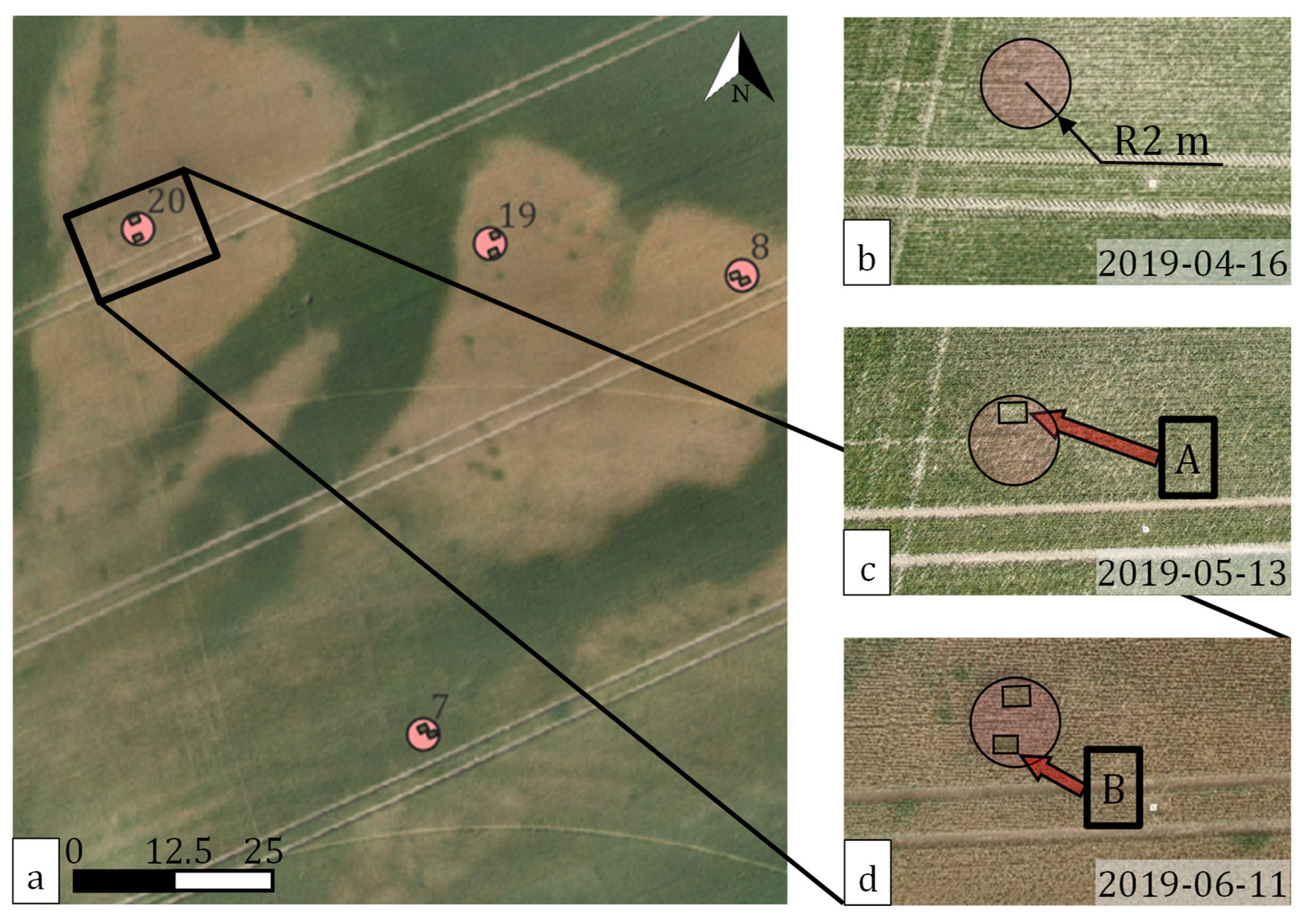 Remotesensing 14 04426 g004