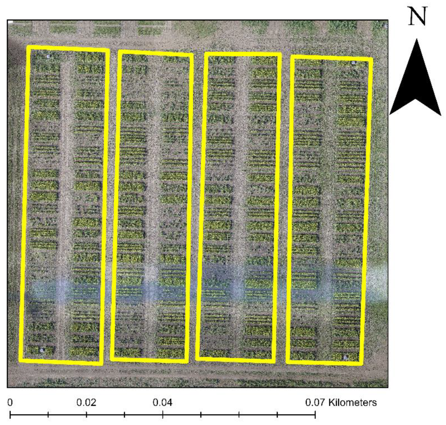 Remotesensing 14 04464 g001