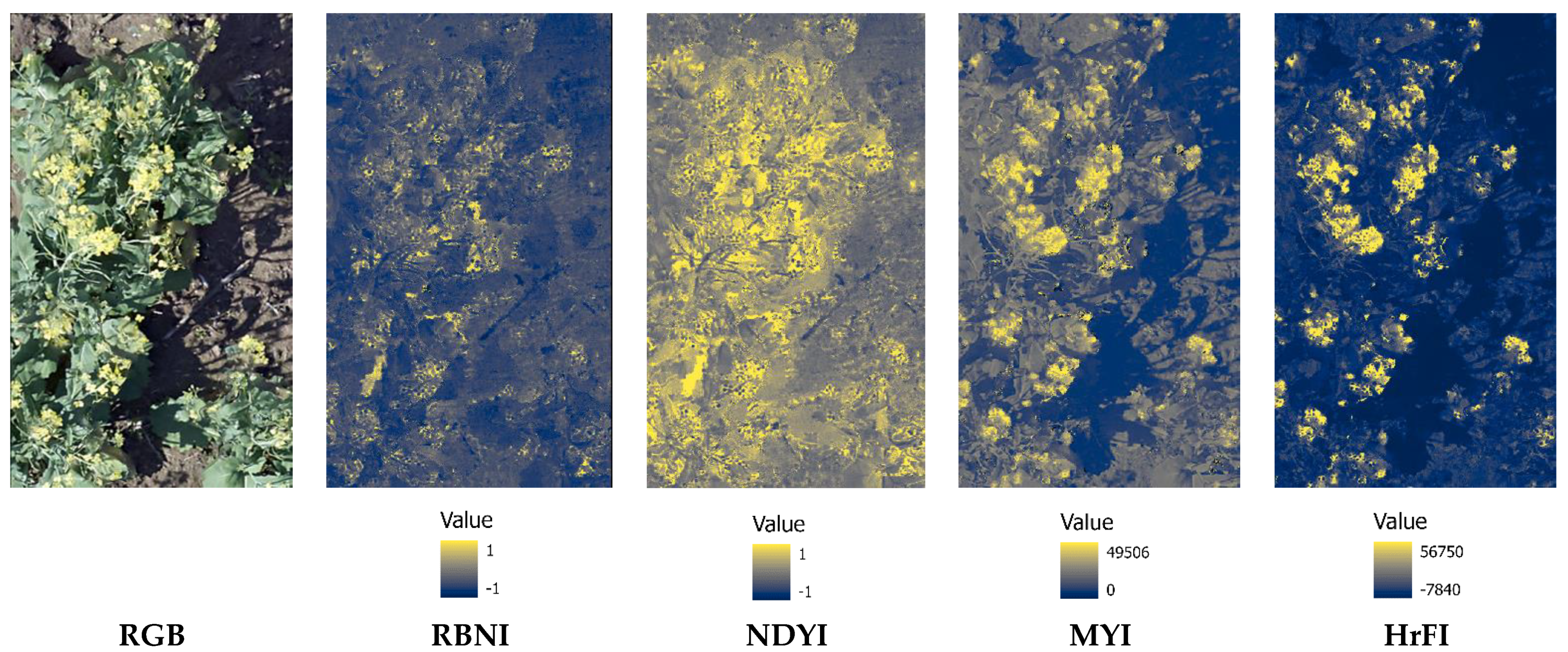 Remotesensing 14 04464 g004