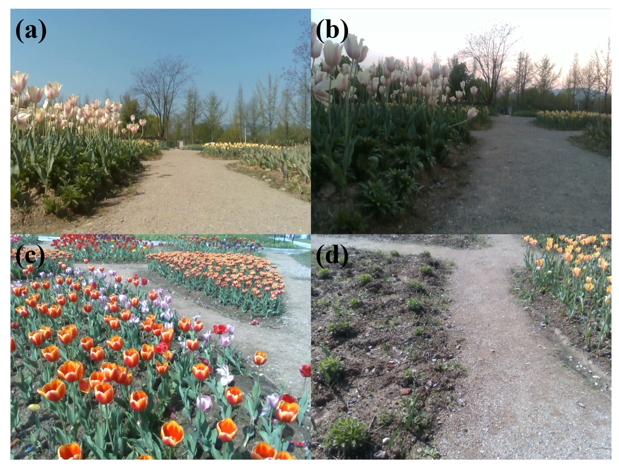 Remotesensing 14 04465 g012