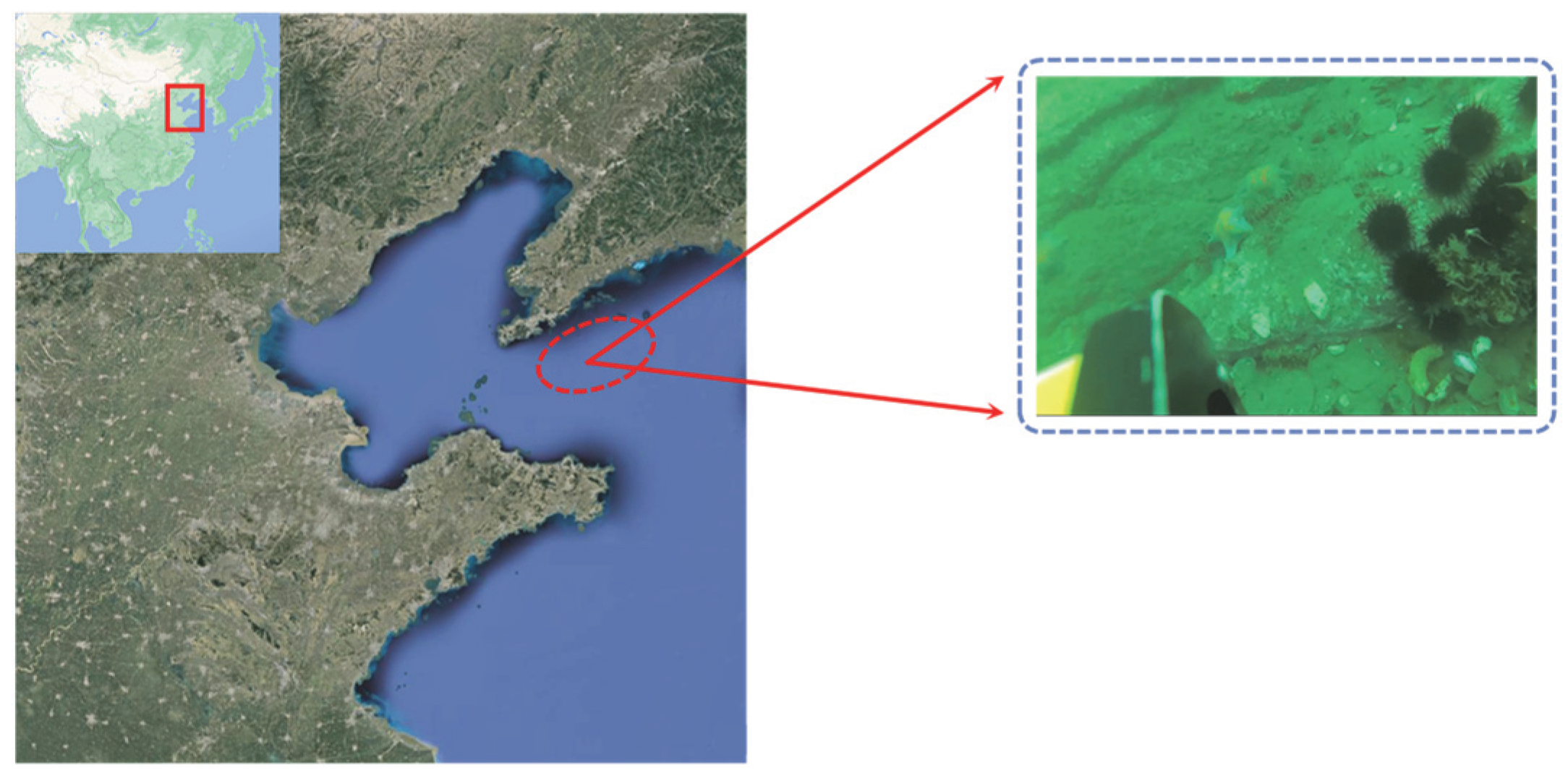 Remotesensing 14 04487 g009