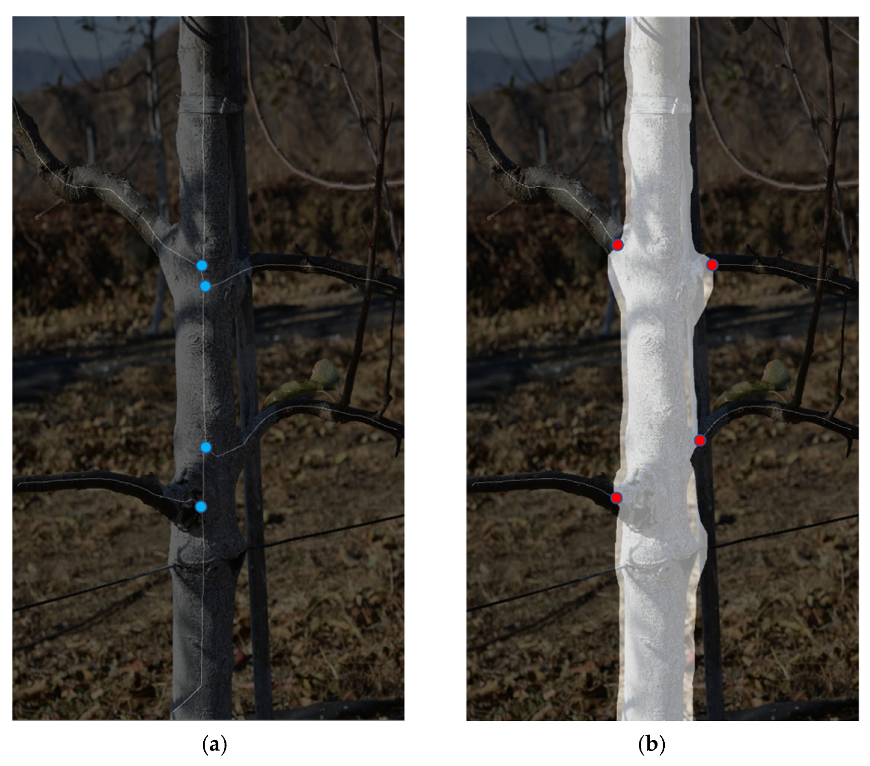 Remotesensing 14 04495 g012