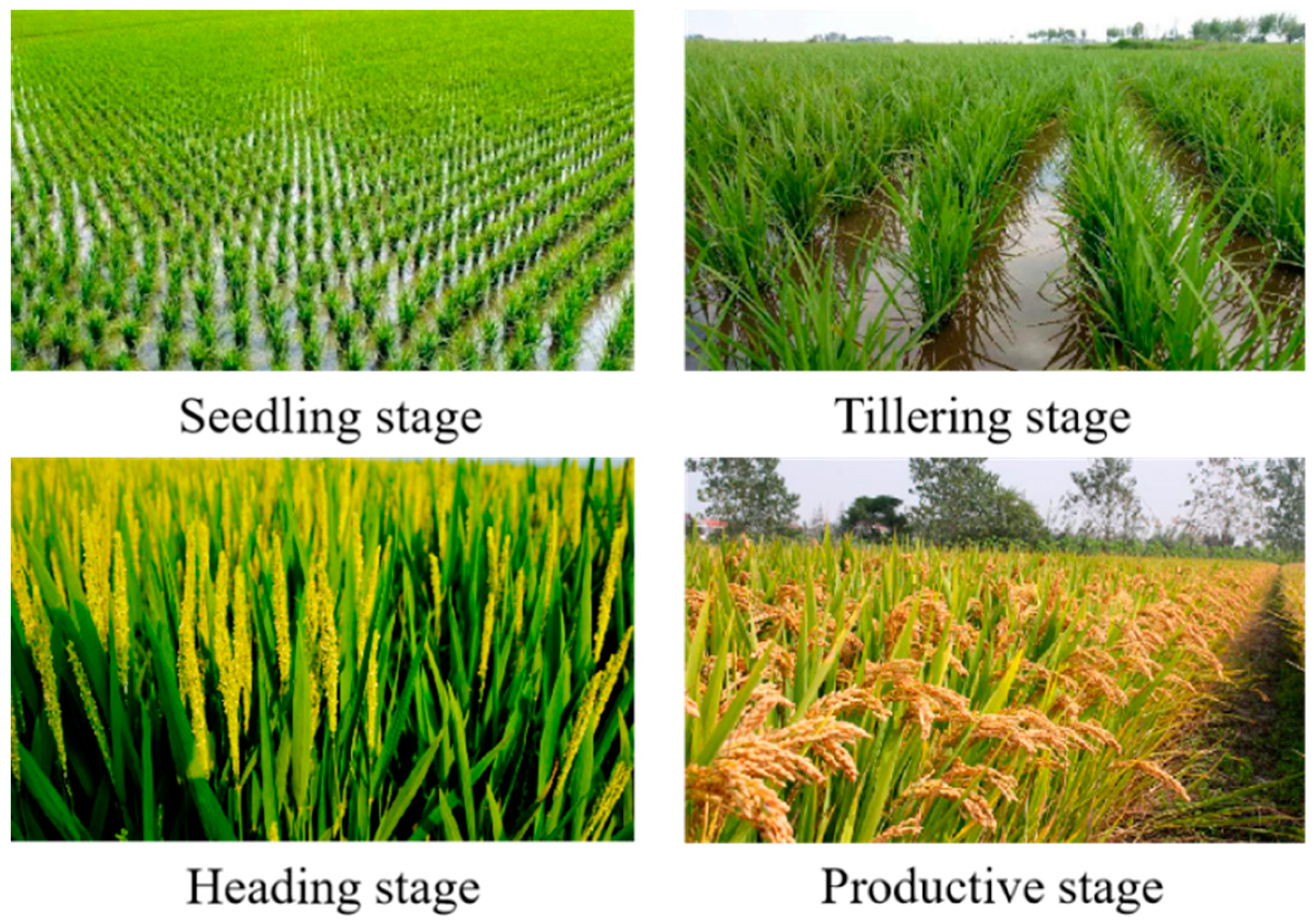 Remotesensing 14 04573 g003