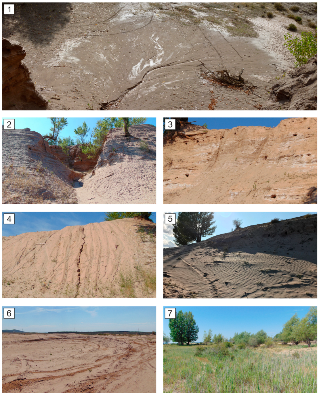 Remotesensing 14 04617 g004