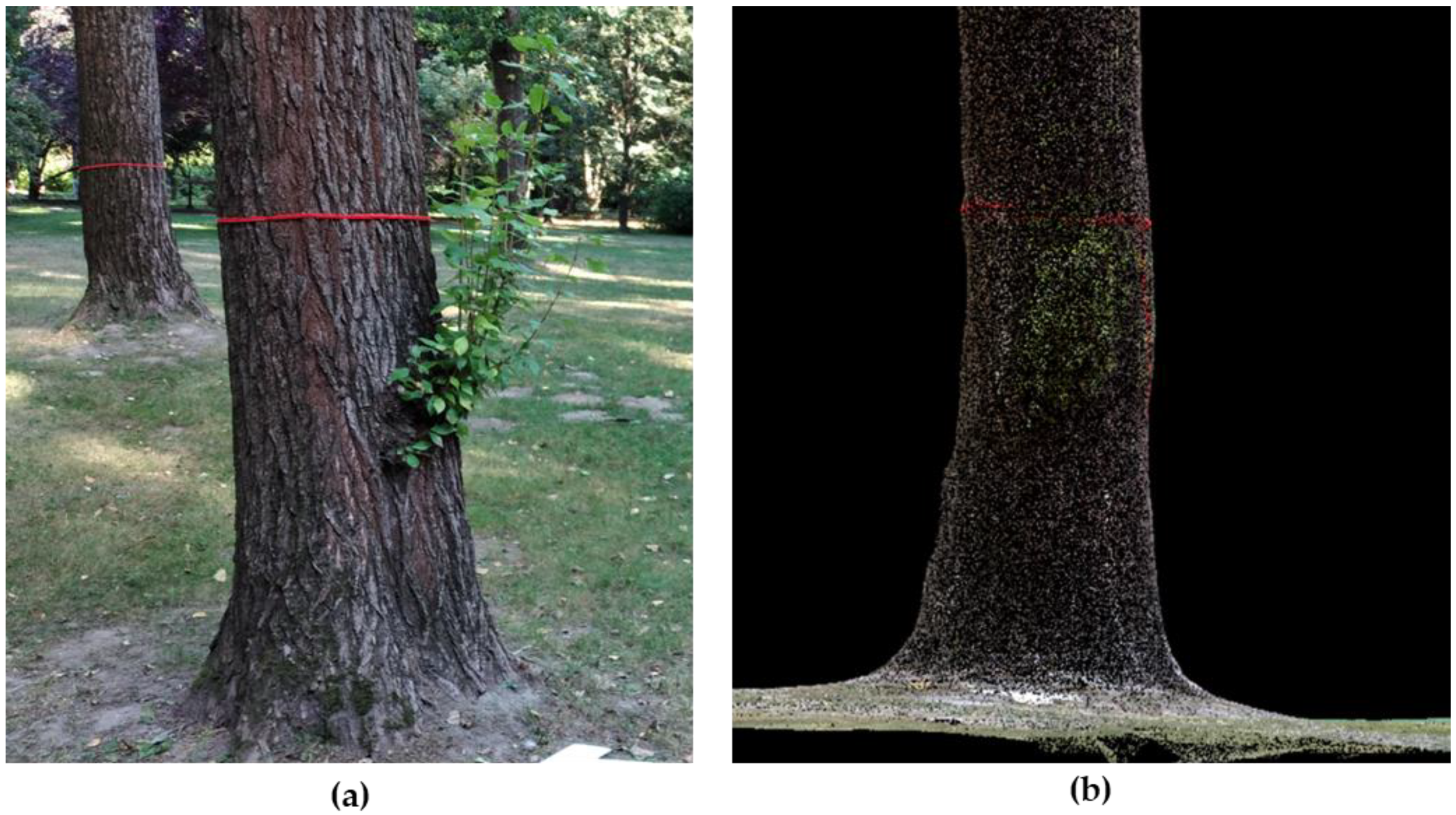 Remotesensing 14 04661 g002