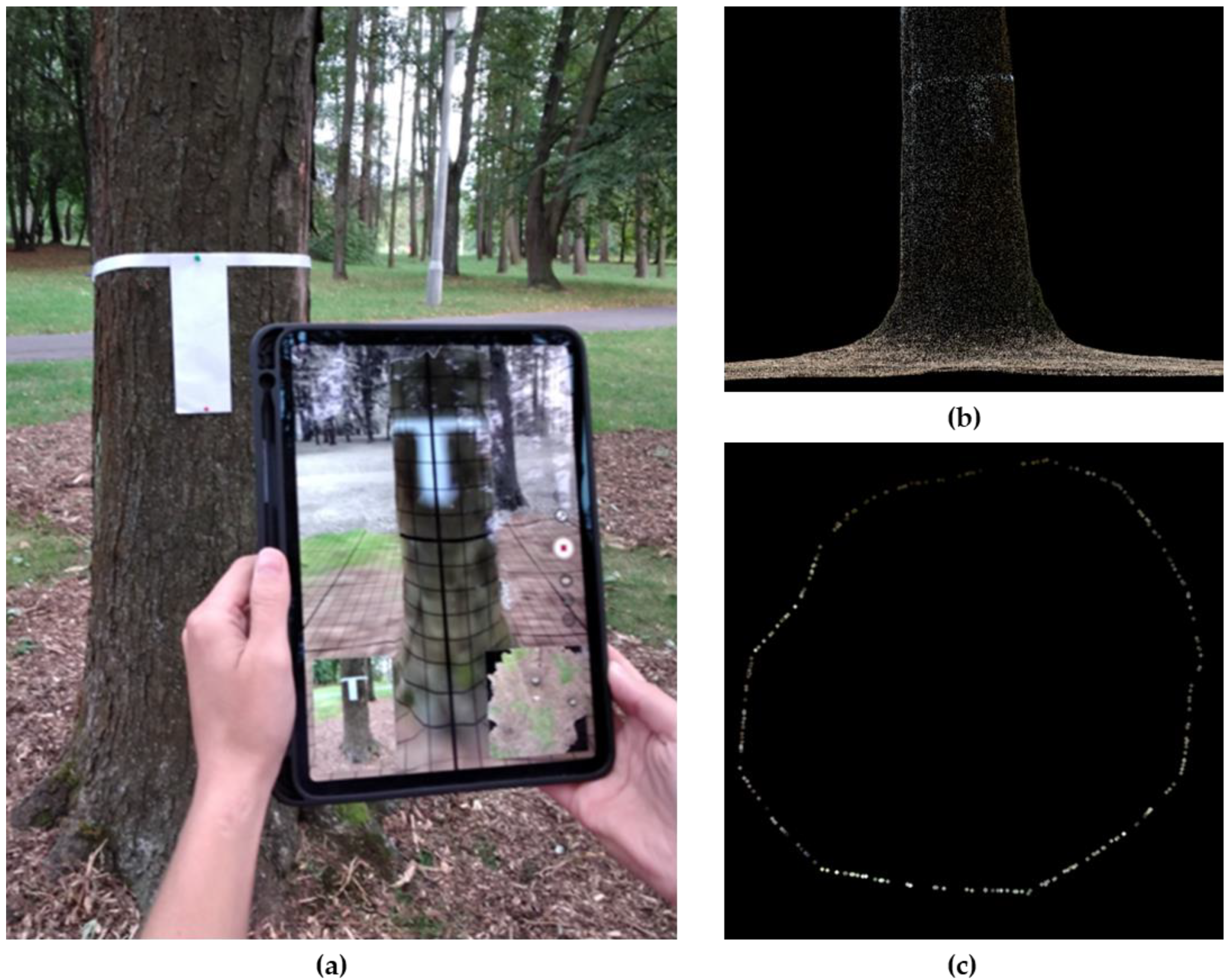 Remotesensing 14 04661 g003