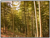 Remotesensing 14 04725 i003