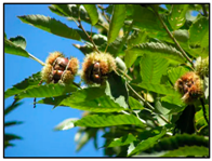 Remotesensing 14 04725 i004