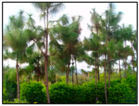 Remotesensing 14 04725 i005