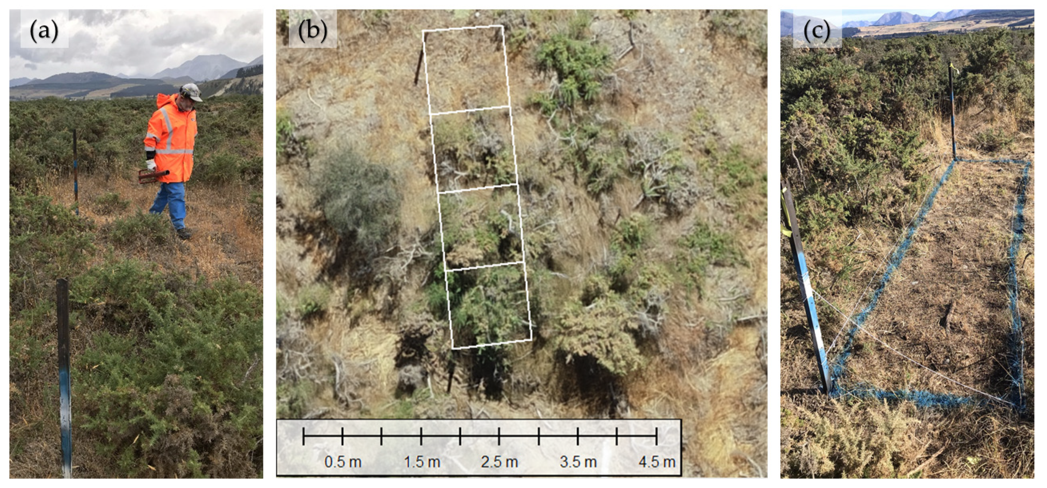 Remotesensing 14 04775 g002