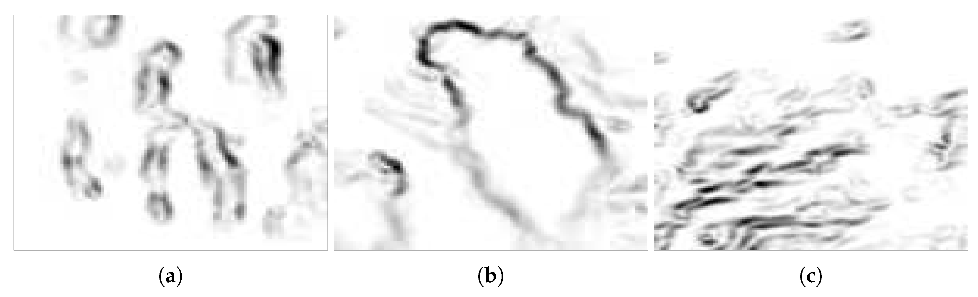 Remotesensing 14 04785 g005