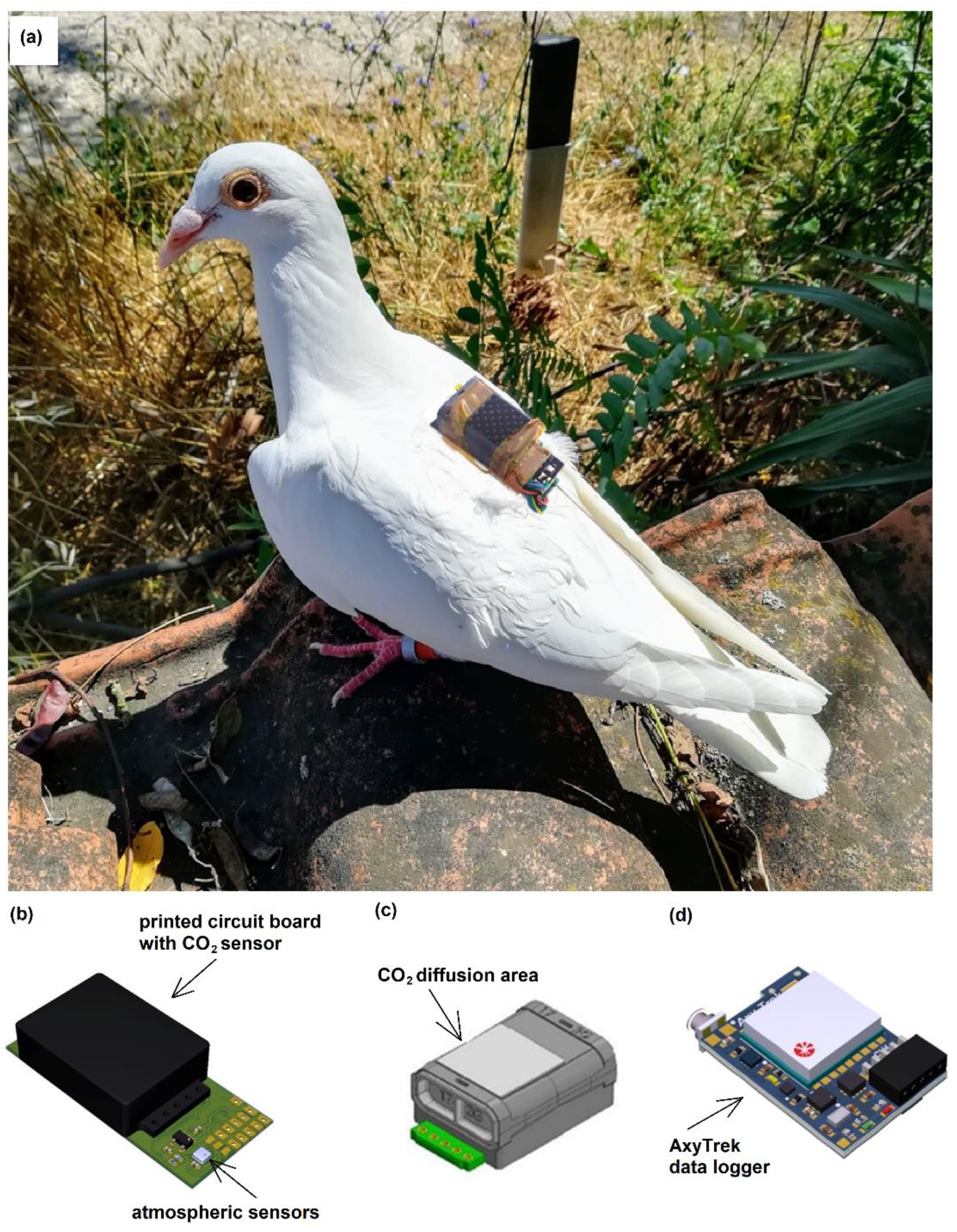 Remotesensing 14 04876 g001