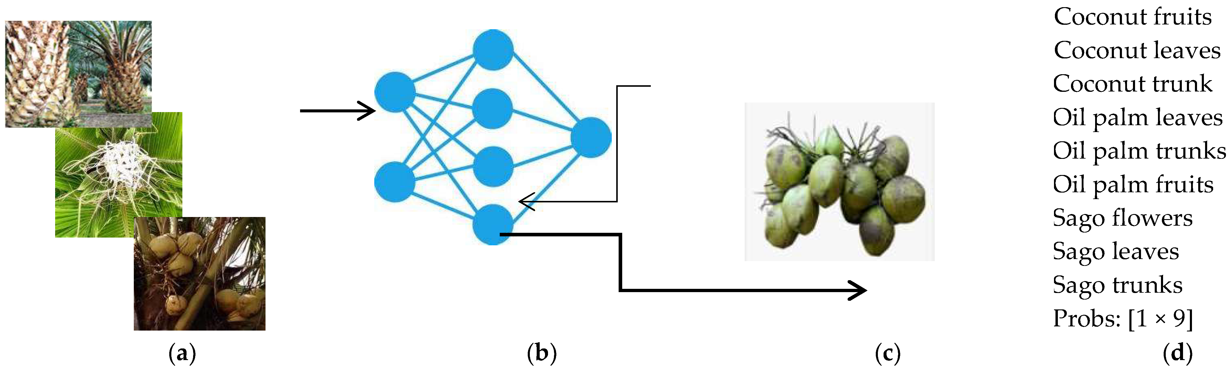 Remotesensing 14 04932 g008