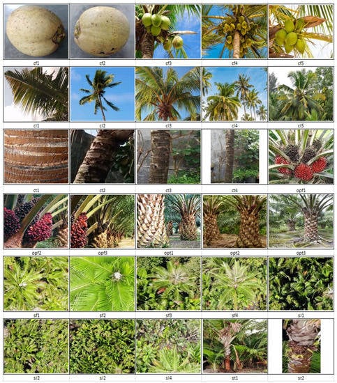 Remotesensing 14 04932 g0a2