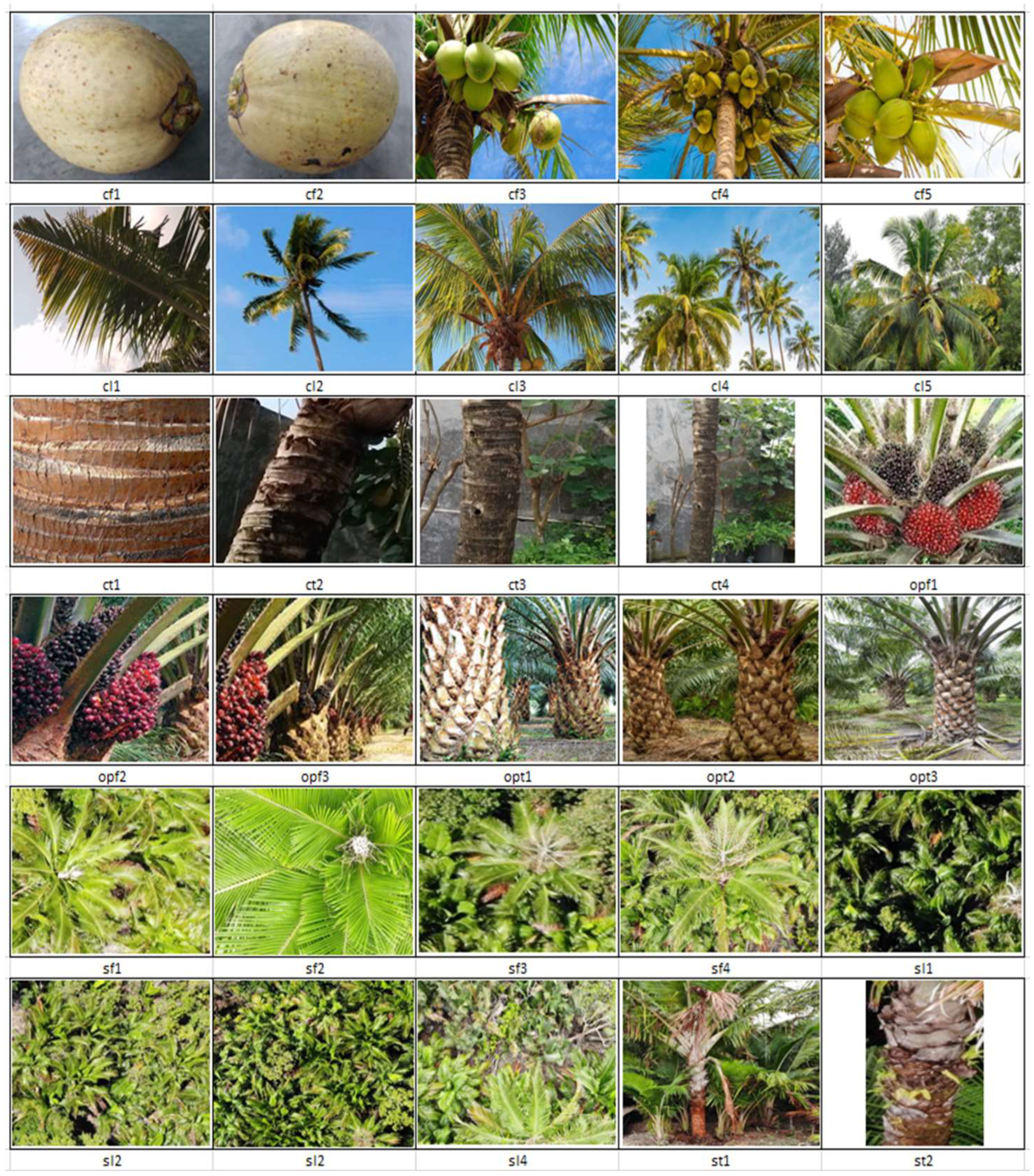 Remotesensing 14 04932 g0a2