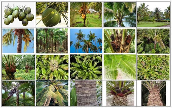 Remotesensing 14 04932 g0a3