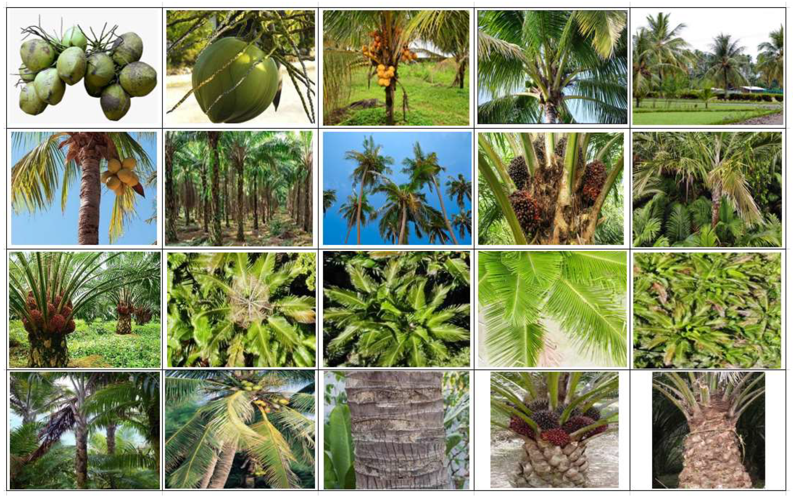 Remotesensing 14 04932 g0a3